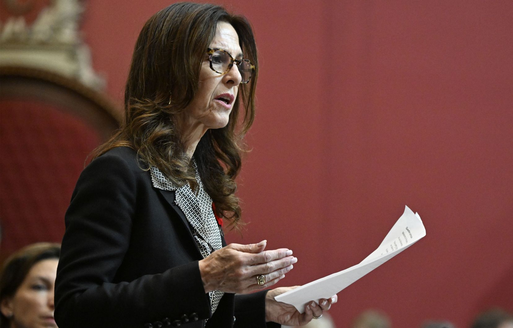 «Clairement, pour la CAQ, l’aide aux femmes victimes de violence conjugale ne représente qu’une simple colonne de chiffres comptables», a dénoncé la députée libérale  Brigitte B. Garceau, le jeudi 20 février 2025.