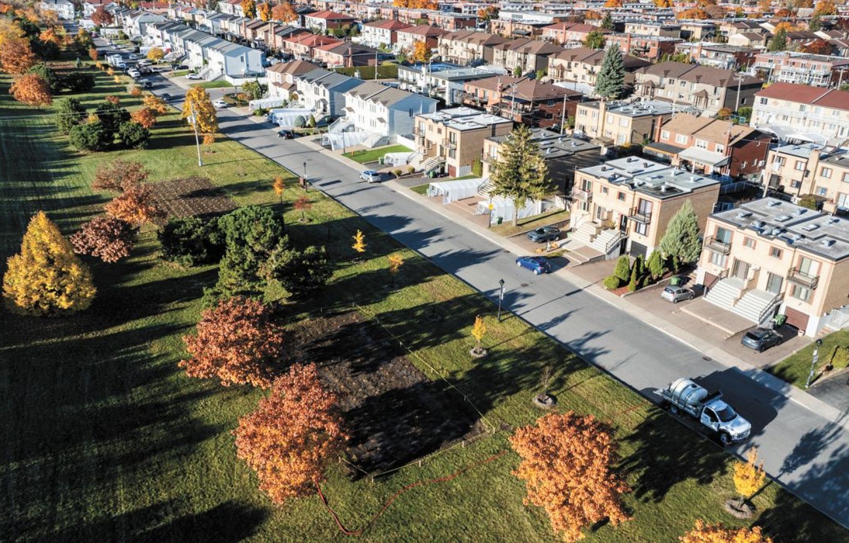 Une microforêt dans le Parc Pasquale-Gattuso dans l’arrondissement de Rivière-des-Prairies–Pointe-aux-Trembles