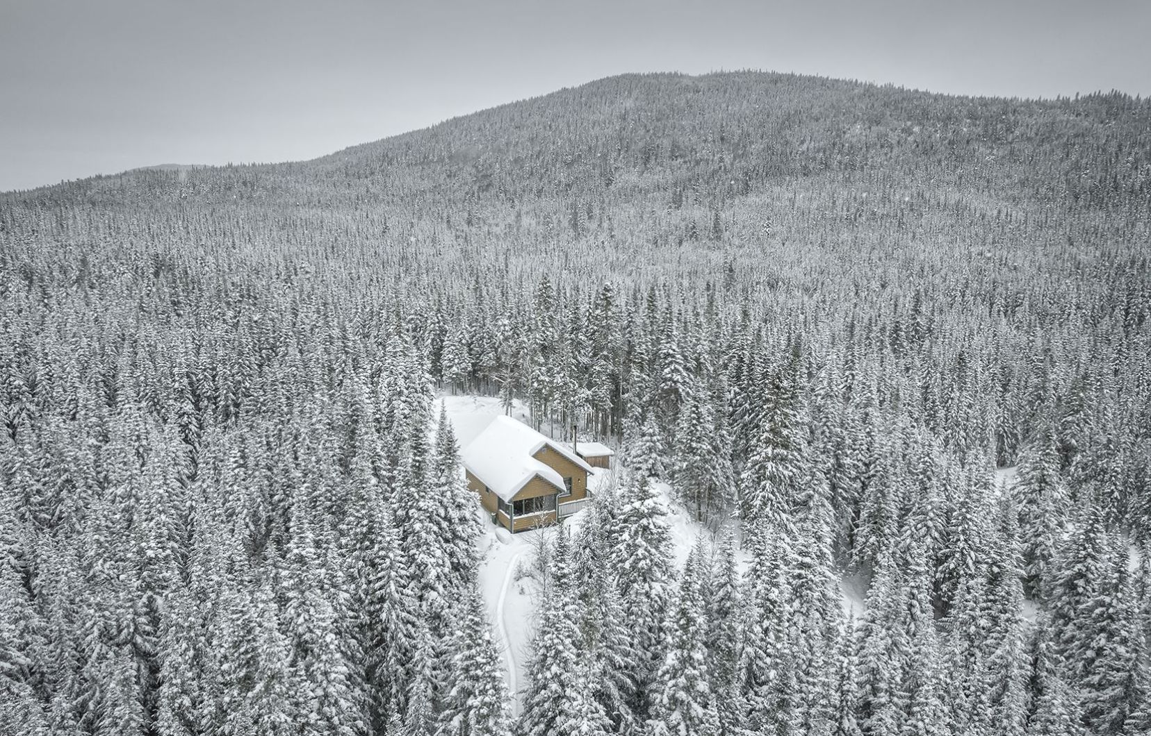Réserve faunique des Laurentides