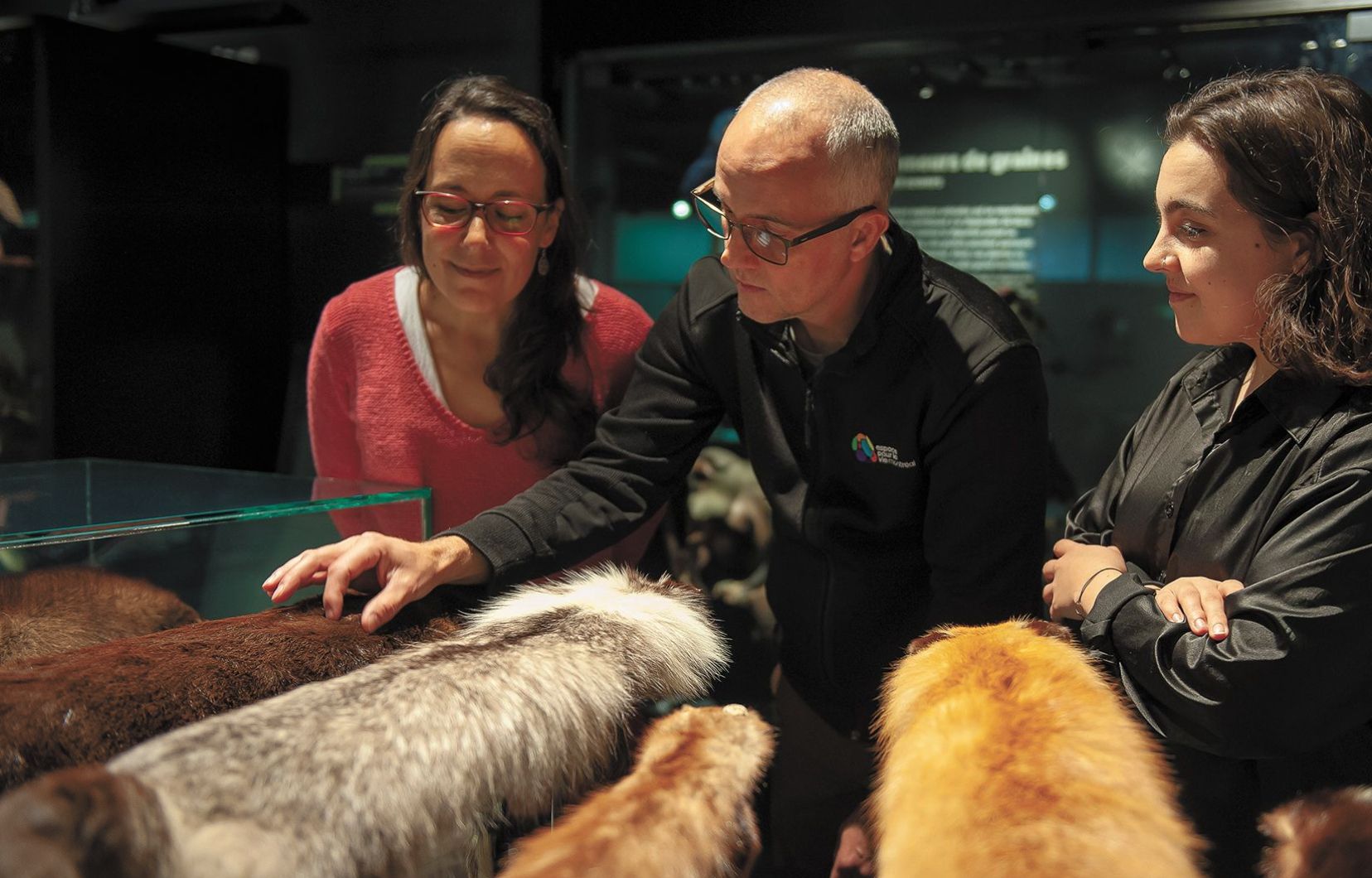 L’exposition Une nature tissée serrée permet de mieux comprendre en quoi certaines espèces sont essentielles au maintien de l’équilibre des écosystèmes.