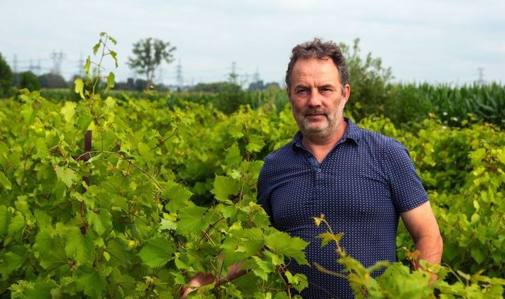 Thierry Kobloth est le propriétaire du Vignoble Kobloth, un domaine de 100 acres à Saint-Bruno-de-Montarville