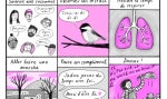 Le regard de notre caricaturiste Chloé sur l'actualité du jour